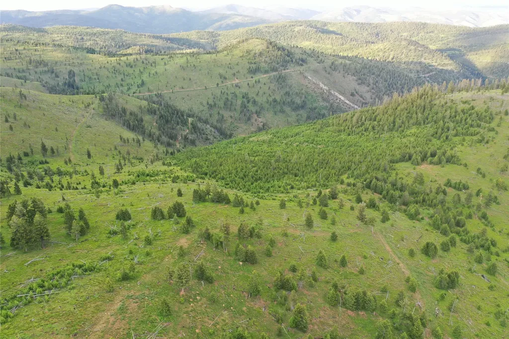 1 Tract Garnet Range Drummond MT 59832