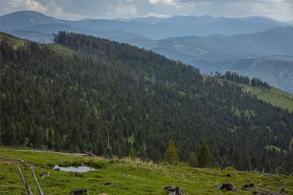 3 Tract, Garnet Range Drummond MT 59825