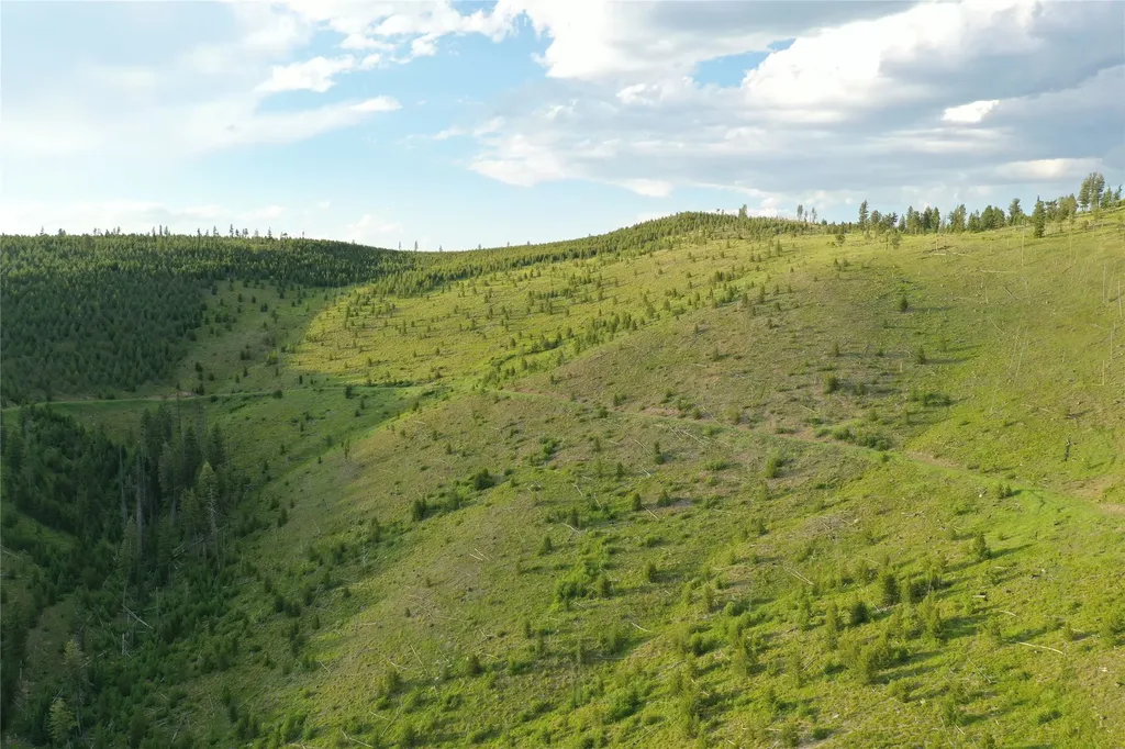3 Tract, Garnet Range Drummond MT 59825