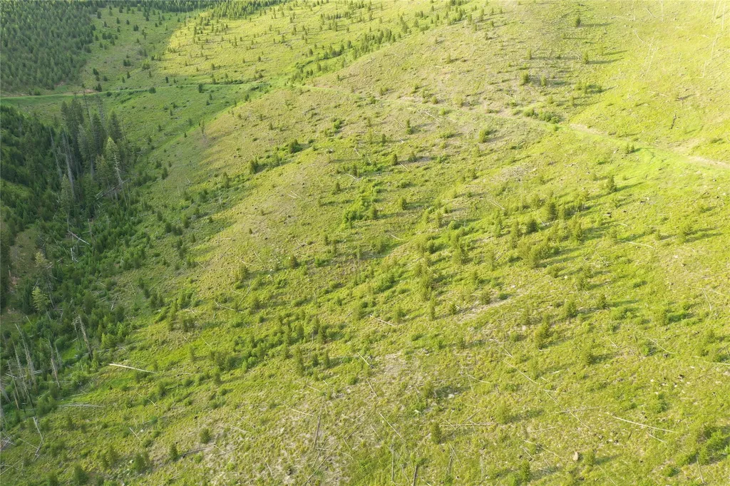 3 Tract, Garnet Range Drummond MT 59825