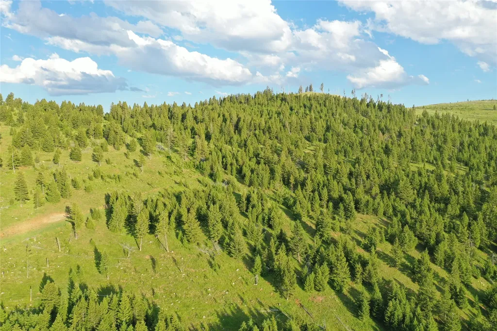 3 Tract, Garnet Range Drummond MT 59825