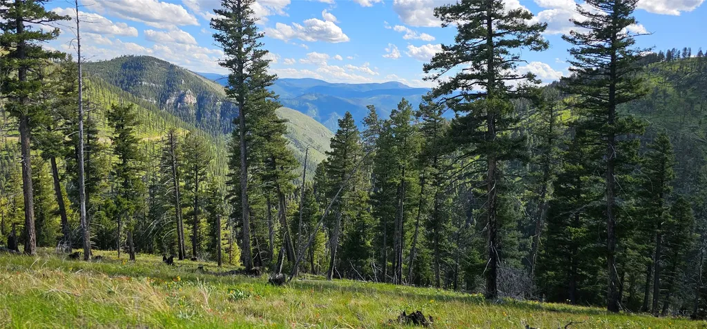 4 Tract, Garnet Range Drummond MT 59825