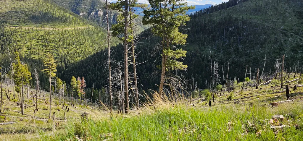 4 Tract, Garnet Range Drummond MT 59825