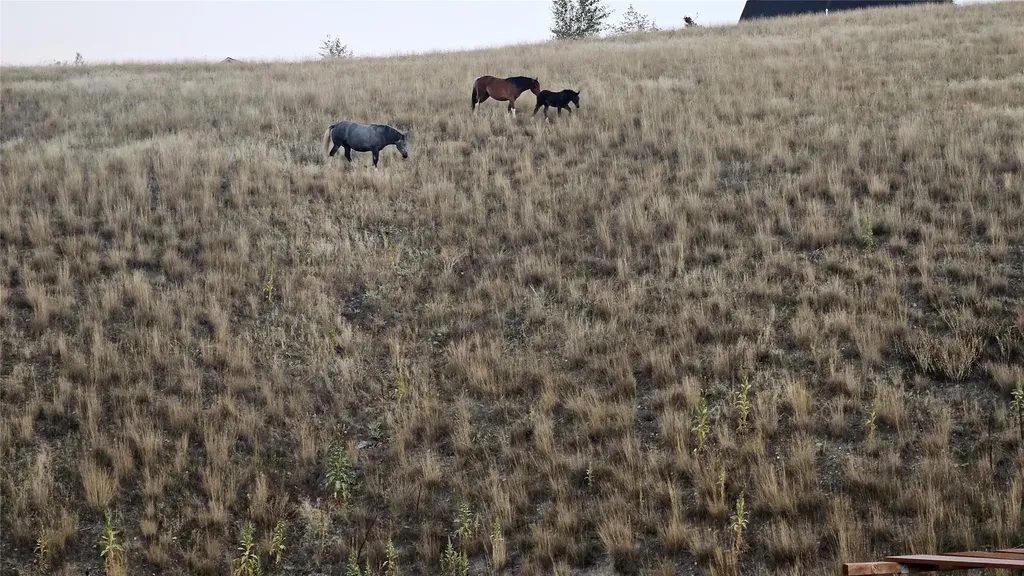 6971 Shaver Drive Missoula MT 59803