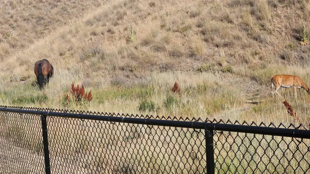 6971 Shaver Drive Missoula MT 59803
