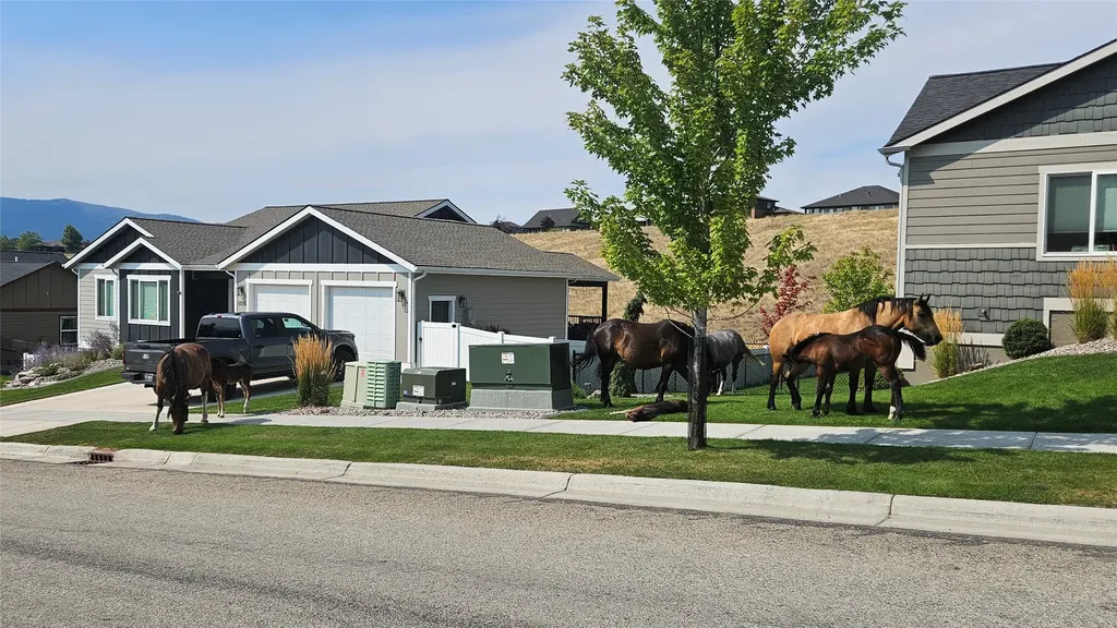 6971 Shaver Drive Missoula MT 59803
