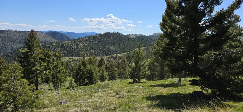 8 Tract, Garnet Range Drummond MT 59825