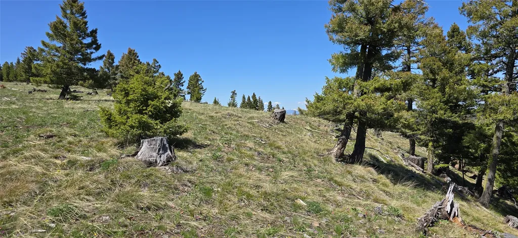 8 Tract, Garnet Range Drummond MT 59825