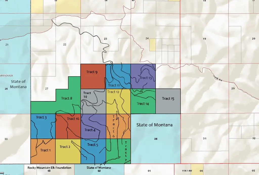 8 Tract, Garnet Range Drummond MT 59825