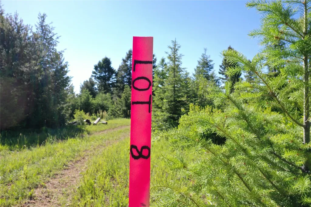 8 Tract, Garnet Range Drummond MT 59825