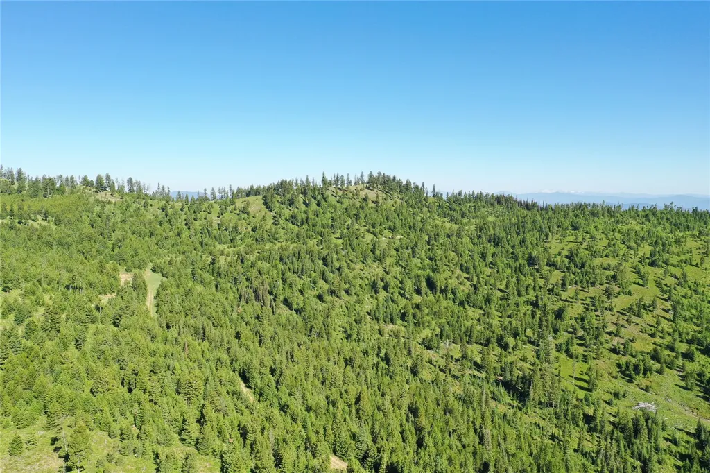 8 Tract, Garnet Range Drummond MT 59825