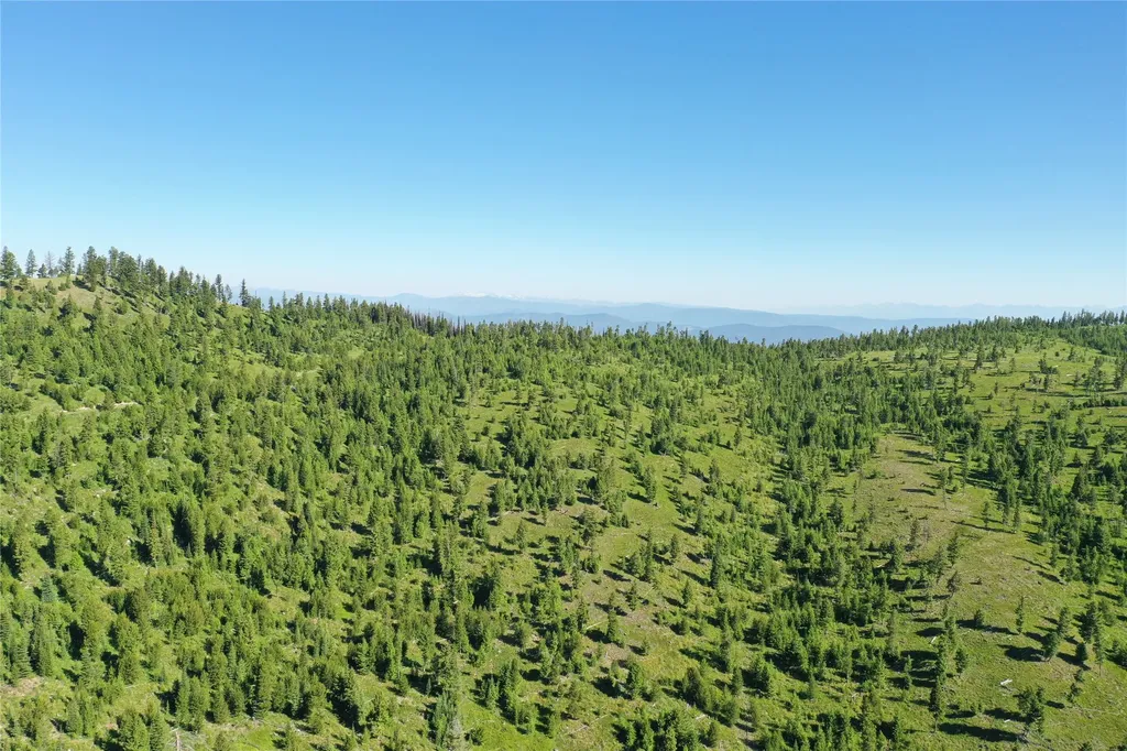 8 Tract, Garnet Range Drummond MT 59825