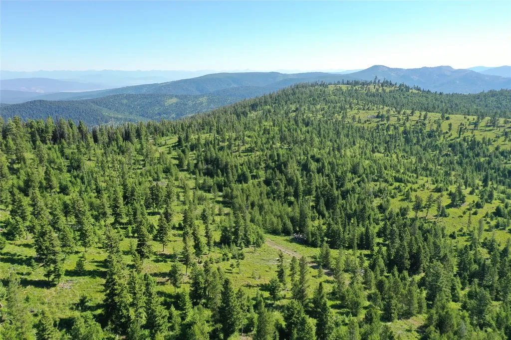 8 Tract, Garnet Range Drummond MT 59825