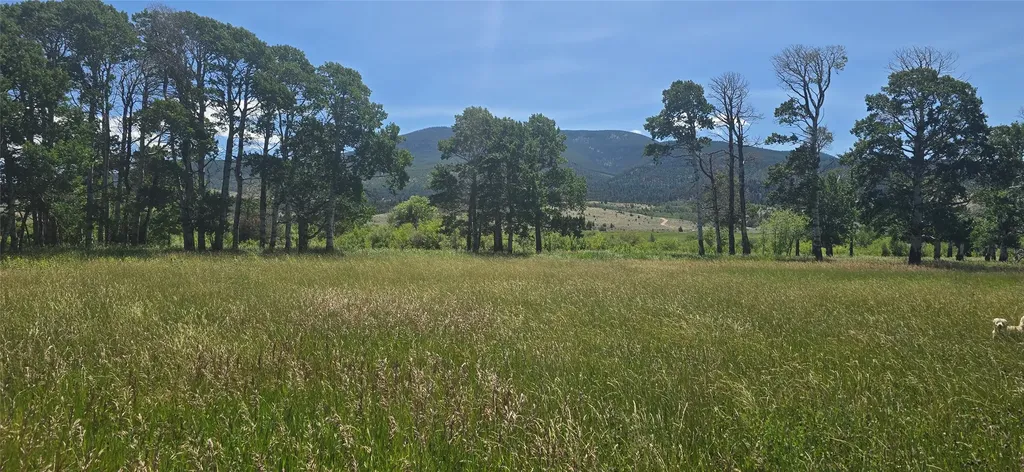 2A School House Meadows Helmville MT 59843