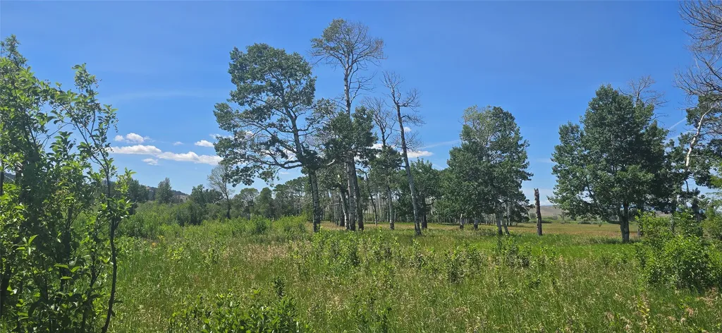 2A School House Meadows Helmville MT 59843
