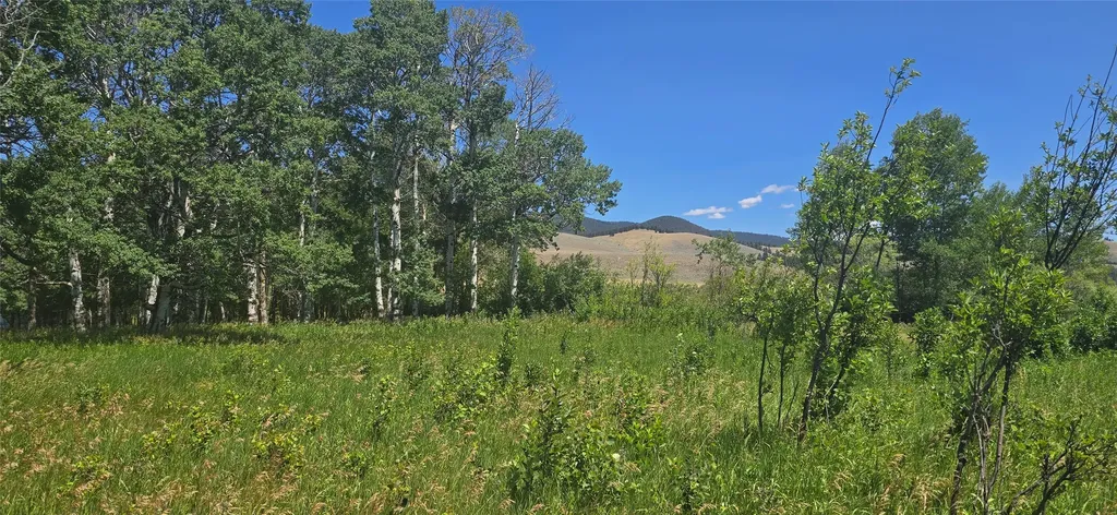 2A School House Meadows Helmville MT 59843