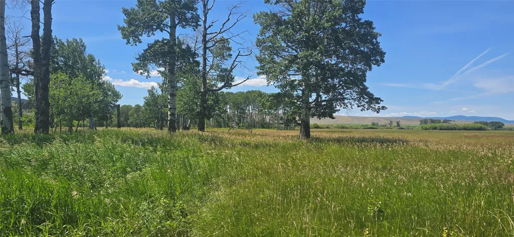 2A School House Meadows Helmville MT 59843
