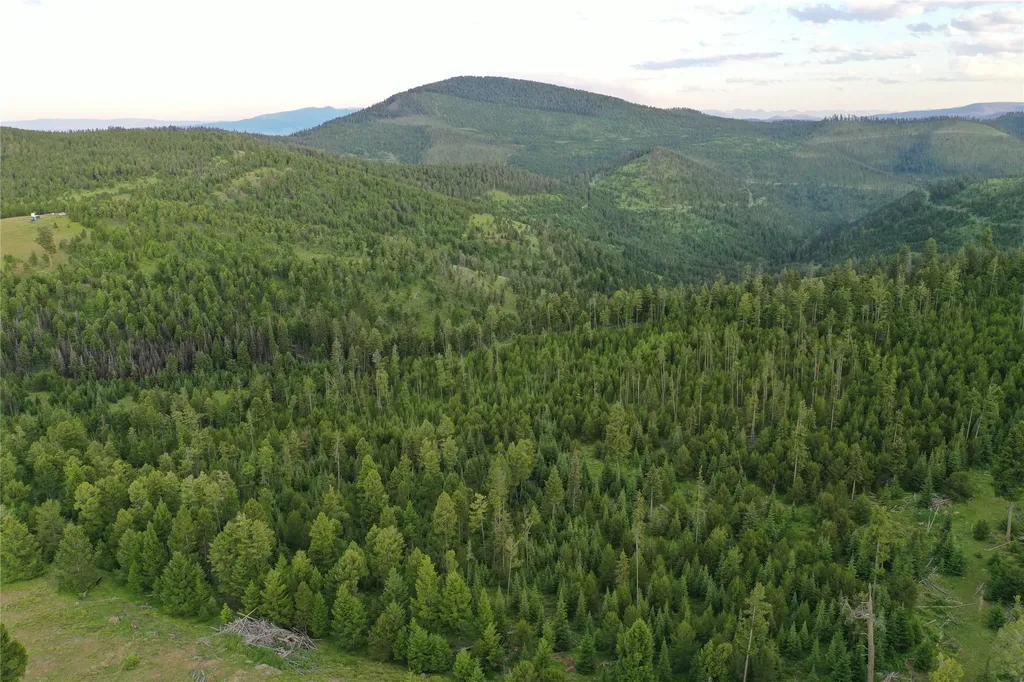 11 Tract, Garnet Range Drummond MT 59832