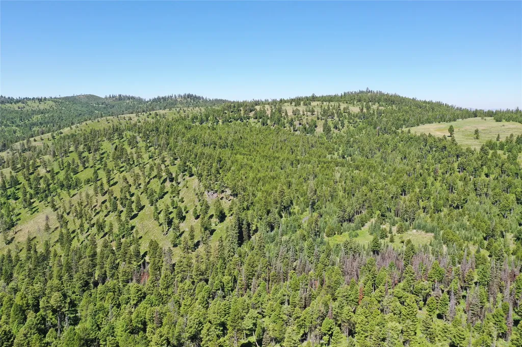 11 Tract, Garnet Range Drummond MT 59832