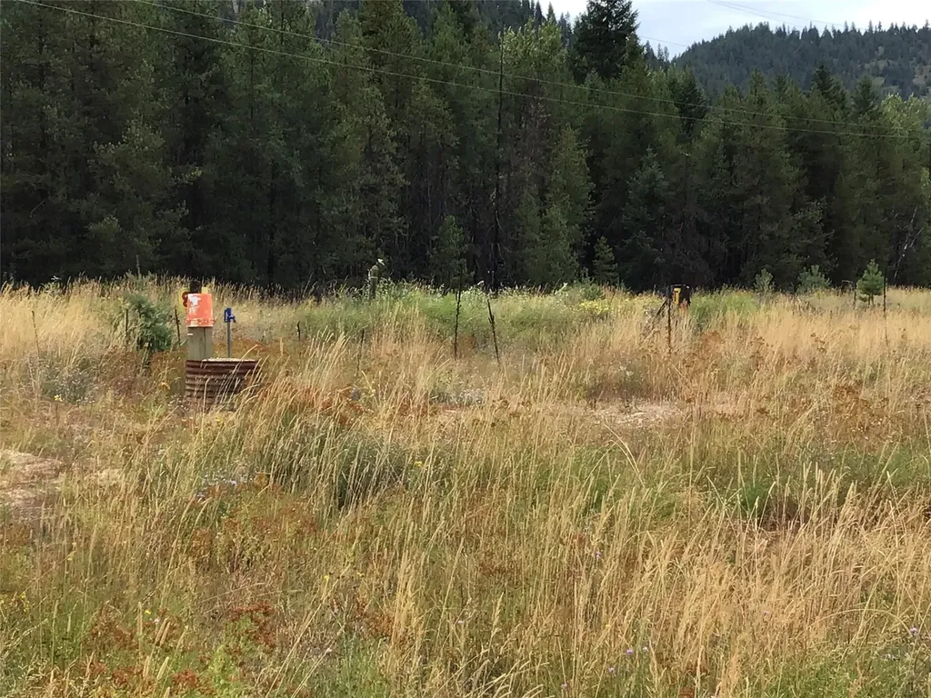 207 Big Creek Road Haugan MT 59842