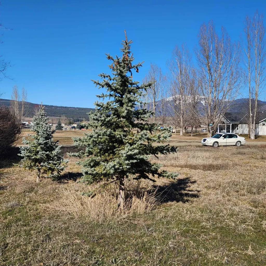 25 Mary Kay Road Plains MT 59859
