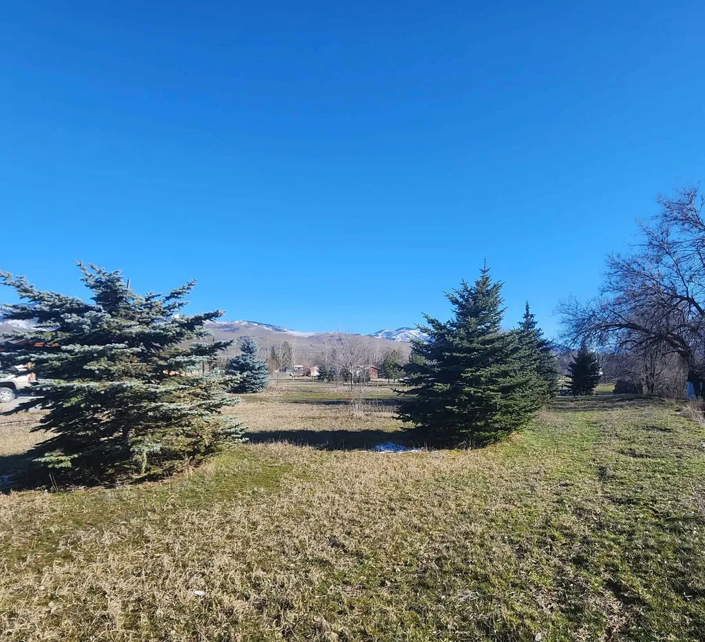 25 Mary Kay Road Plains MT 59859