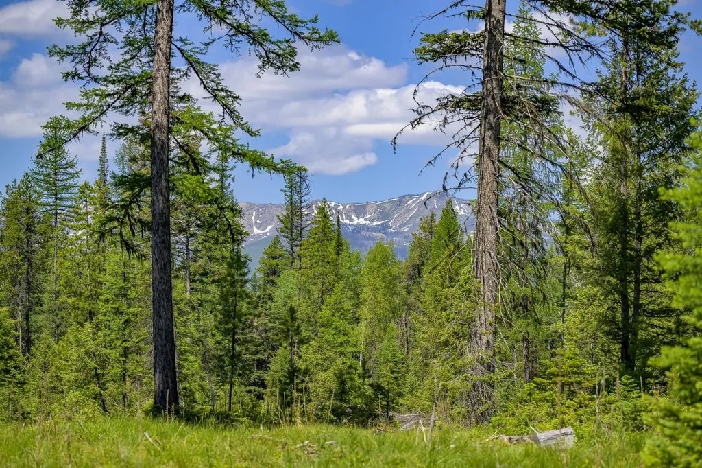 Nhn Lindbergh Lake Road Condon MT 59826