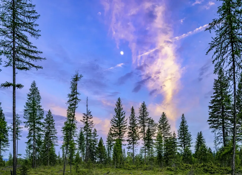 Nhn Lindbergh Lake Road Condon MT 59826
