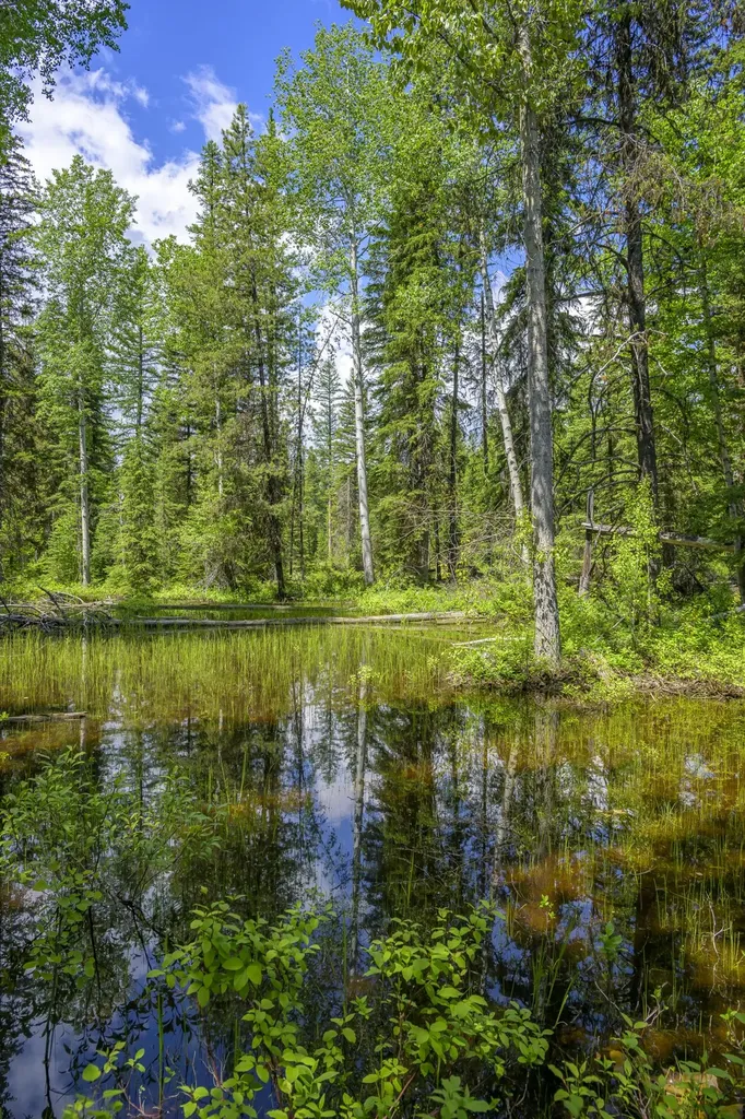 Nhn Lindbergh Lake Road Condon MT 59826