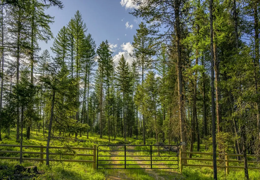 Nhn Lindbergh Lake Road Condon MT 59826