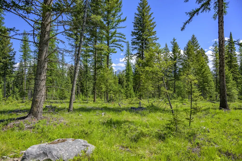 Nhn Lindbergh Lake Road Condon MT 59826