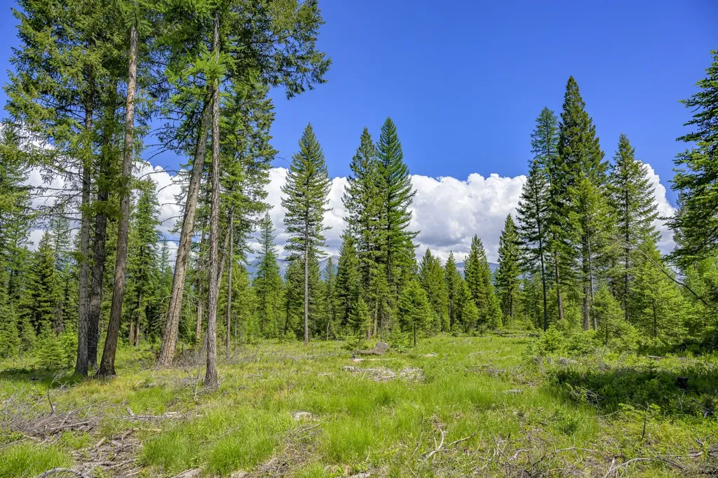 Nhn Lindbergh Lake Road Condon MT 59826