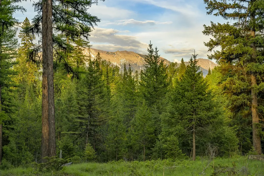 Nhn Lindbergh Lake Road Condon MT 59826