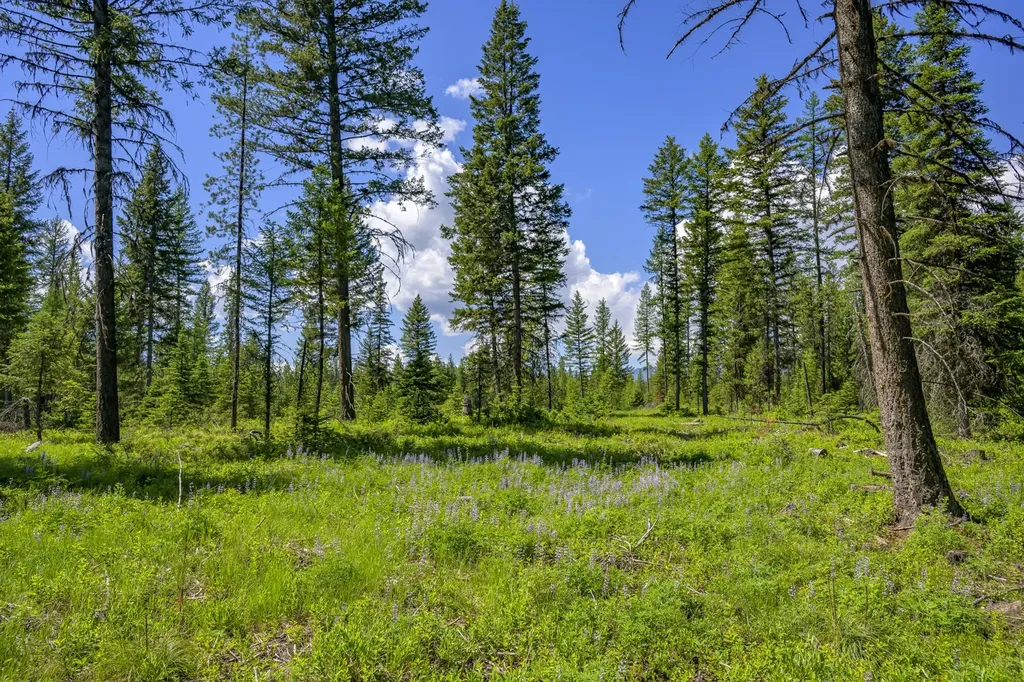 Nhn Lindbergh Lake Road Condon MT 59826