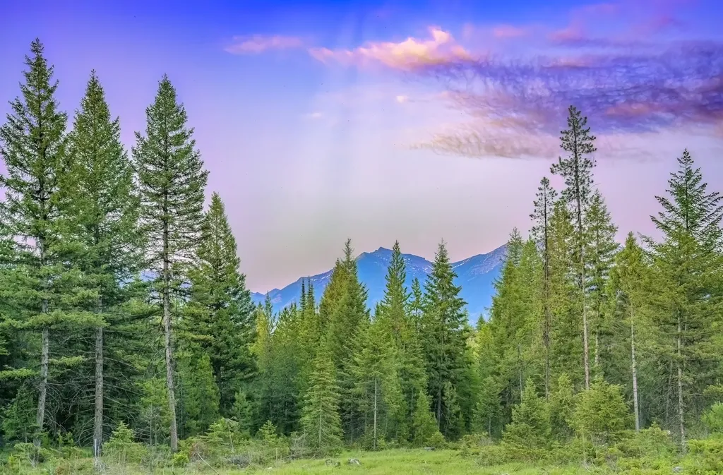 Nhn Lindbergh Lake Road Condon MT 59826