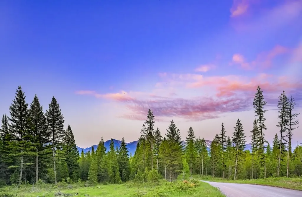 Nhn Lindbergh Lake Road Condon MT 59826
