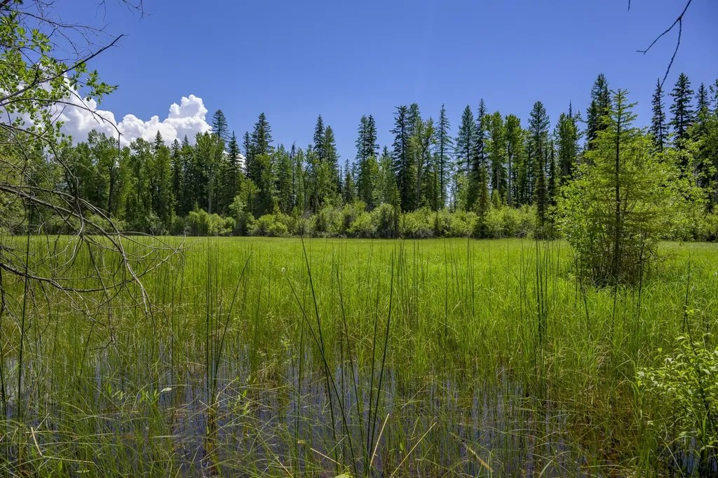 Nhn Lindbergh Lake Road Condon MT 59826