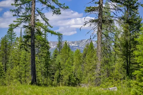 Nhn Lindbergh Lake Road Condon MT 59826