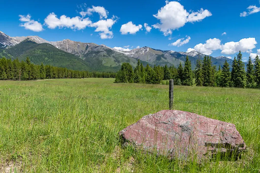 2705 Rumble Creek Road Condon MT 59826