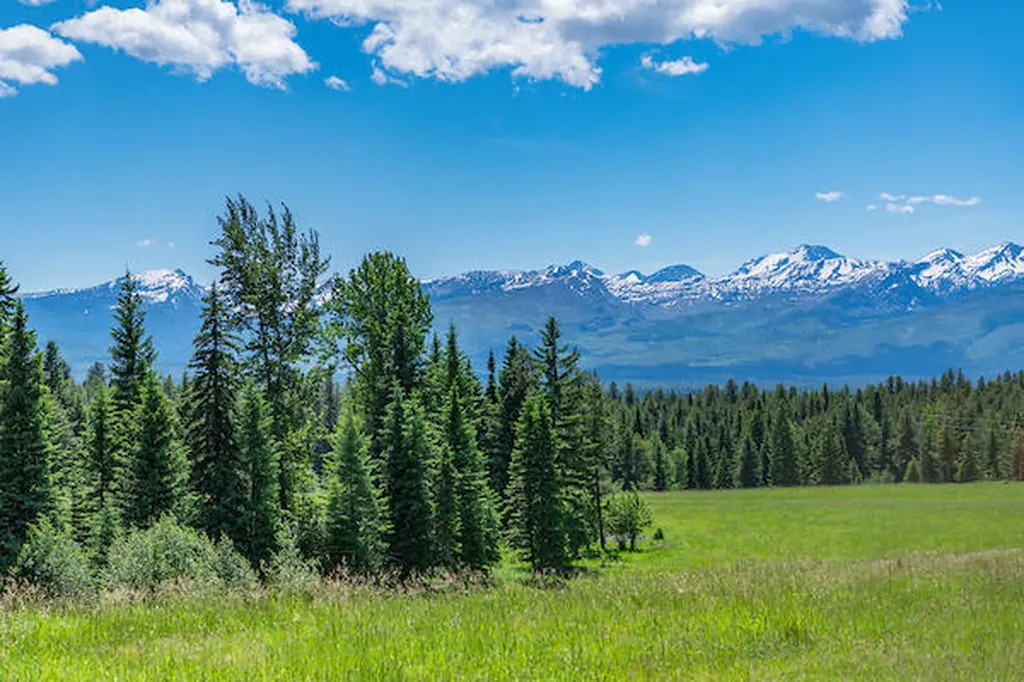2705 Rumble Creek Road Condon MT 59826