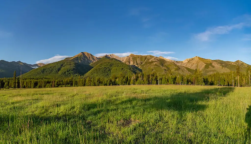 2705 Rumble Creek Road Condon MT 59826