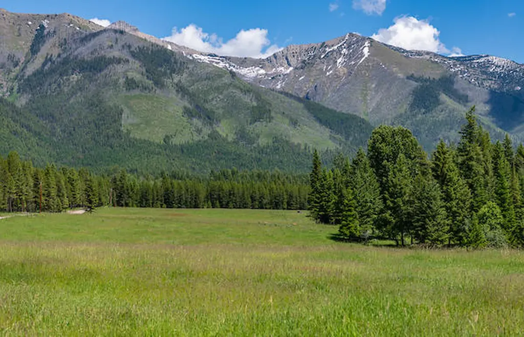 2705 Rumble Creek Road Condon MT 59826