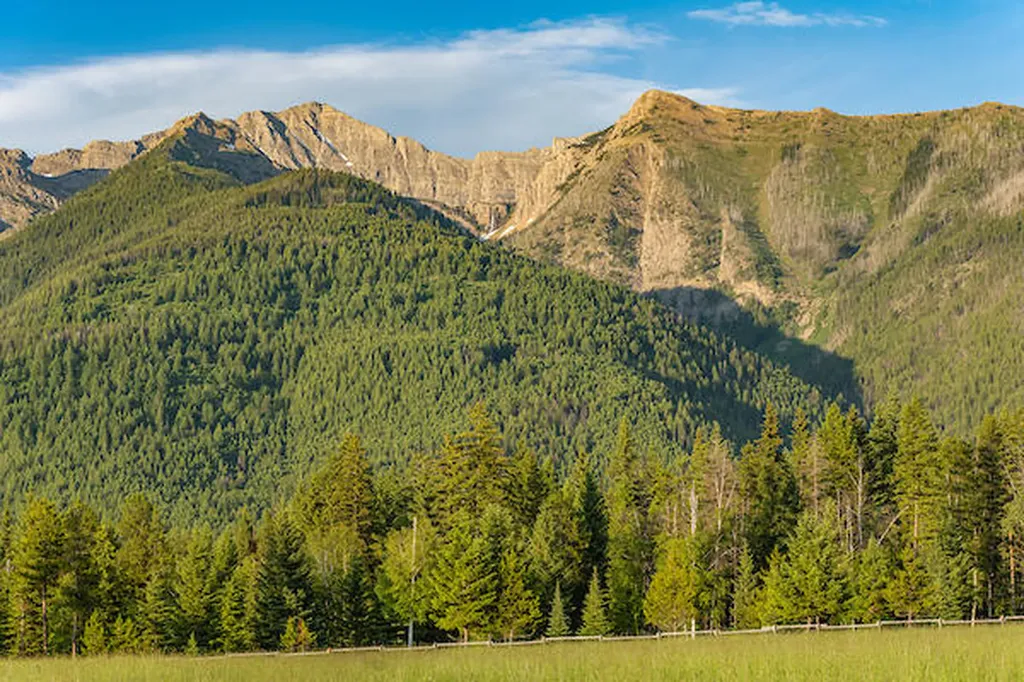 2705 Rumble Creek Road Condon MT 59826