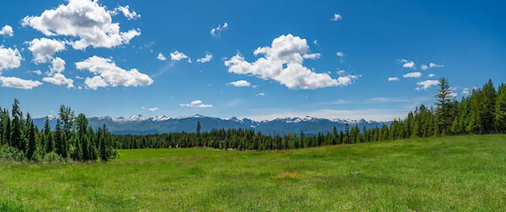 2705 Rumble Creek Road Condon MT 59826
