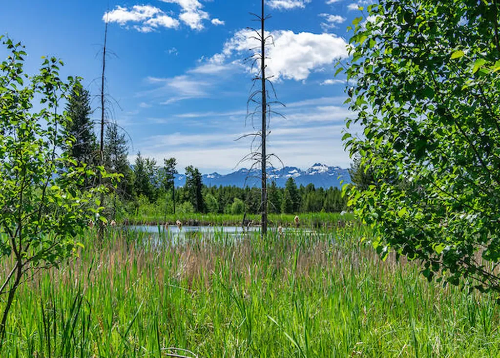 2705 Rumble Creek Road Condon MT 59826