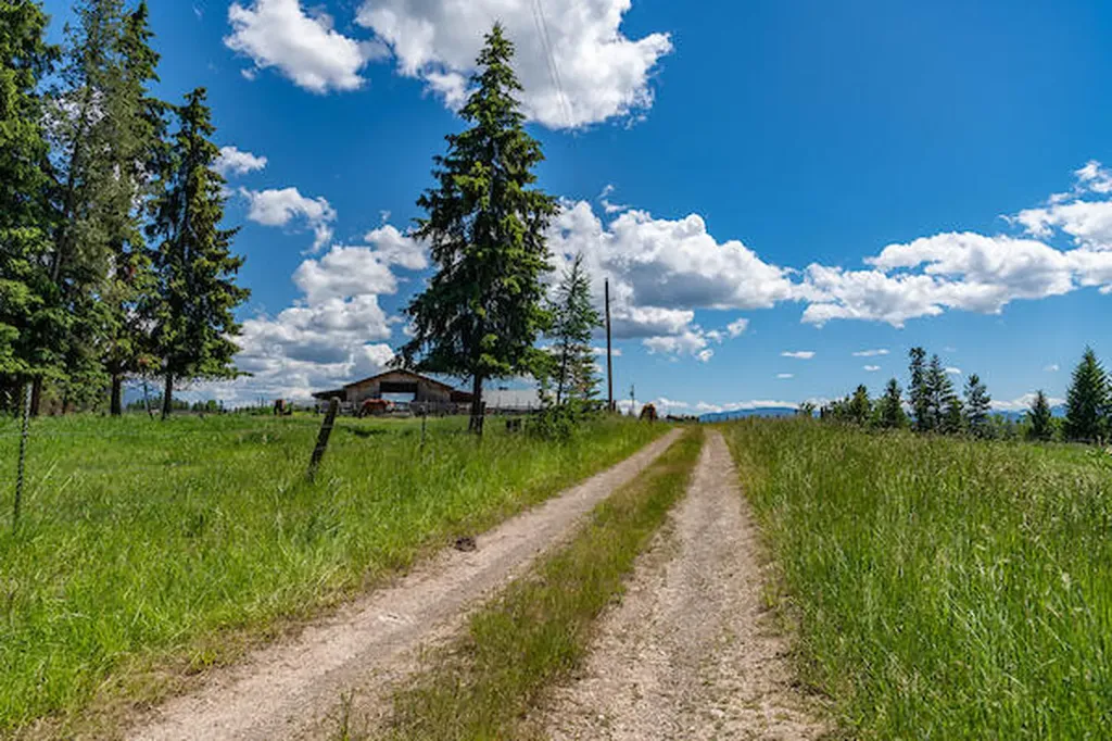 2705 Rumble Creek Road Condon MT 59826
