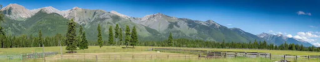 2705 Rumble Creek Road Condon MT 59826