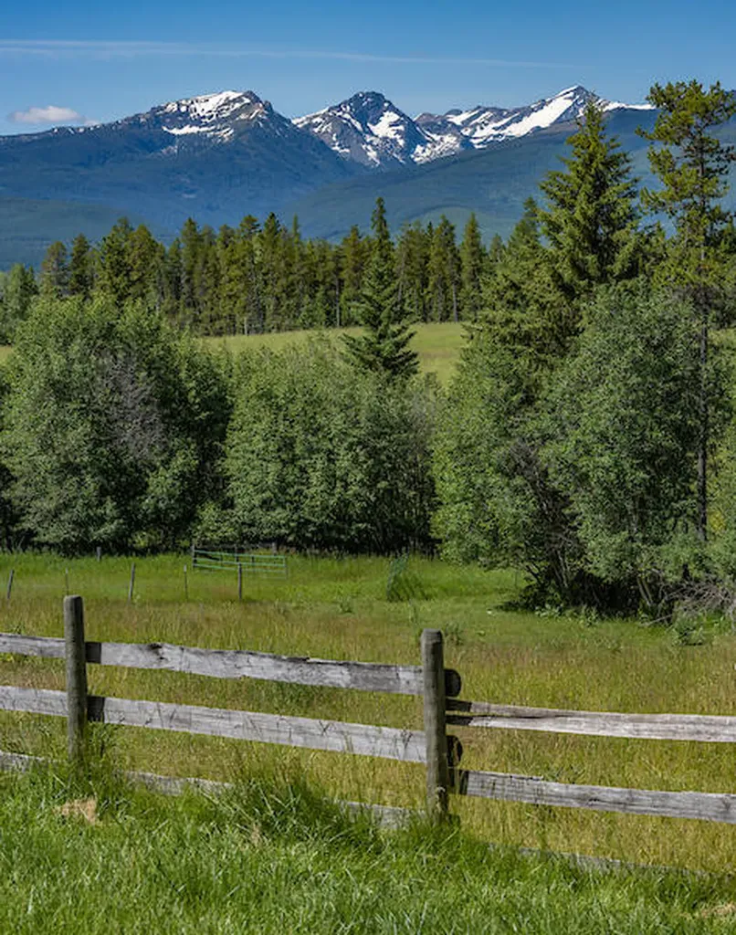 2705 Rumble Creek Road Condon MT 59826
