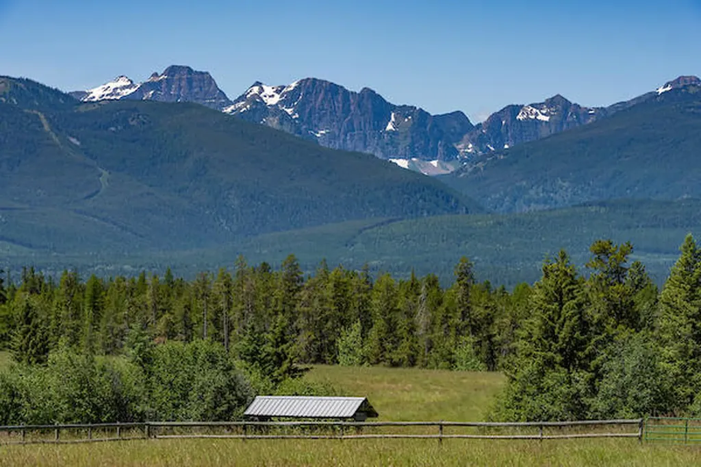 2705 Rumble Creek Road Condon MT 59826