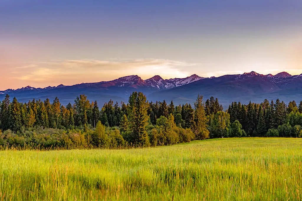 2705 Rumble Creek Road Condon MT 59826
